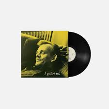 Megas - Í góðri trú LP (Black Vinyl)