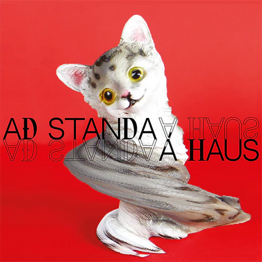 Ýmsir - Að standa á haus LP