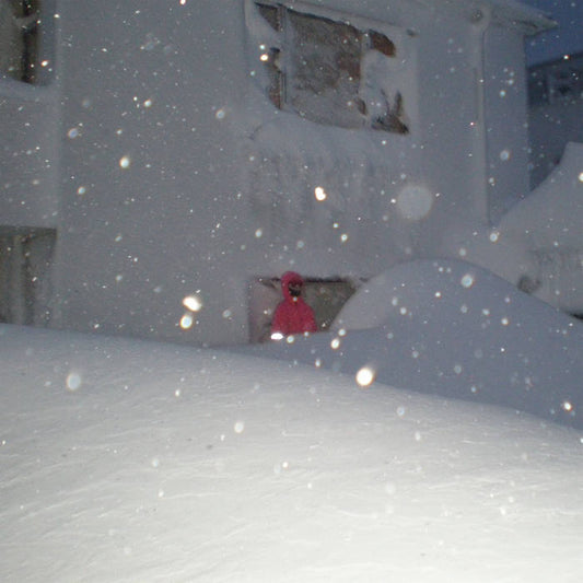 Árný Margrét - They Only Talk About The Weather LP