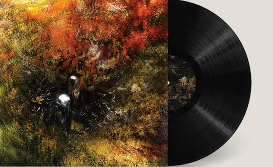 Bergrún Snæbjörnsdóttir - Skinweeper LP