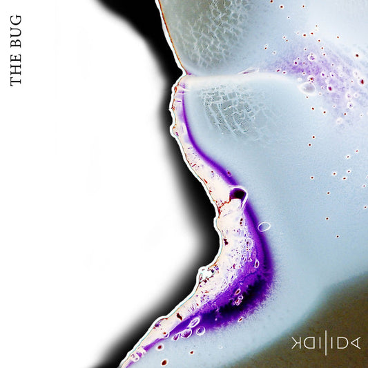 IDK/IDA – The Bug LP